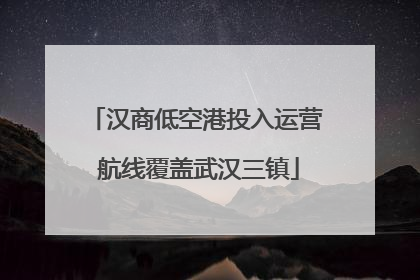 汉商低空港投入运营 航线覆盖武汉三镇
