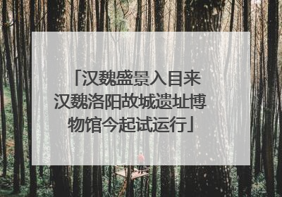 汉魏盛景入目来 汉魏洛阳故城遗址博物馆今起试运行