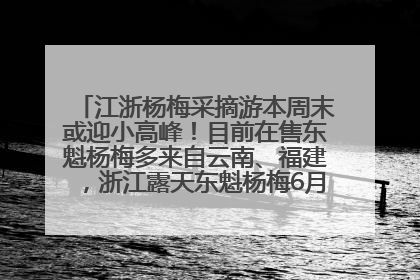 江浙杨梅采摘游本周末或迎小高峰！目前在售东魁杨梅多来自云南、福建，浙江露天东魁杨梅6月中旬大量上市