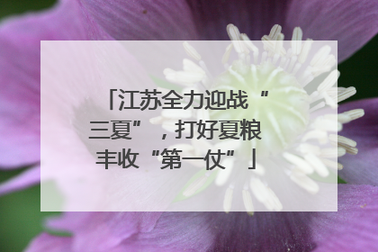 江苏全力迎战“三夏”，打好夏粮丰收“第一仗”