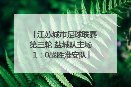 江苏城市足球联赛第三轮 盐城队主场1：0战胜淮安队