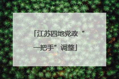 江苏四地党政“一把手”调整