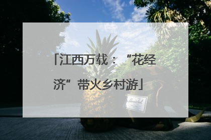 江西万载：“花经济”带火乡村游