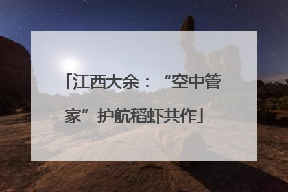 江西大余：“空中管家”护航稻虾共作