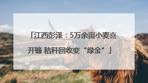 江西彭泽：5万余亩小麦喜开镰 秸秆回收变“绿金”