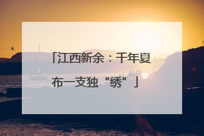 江西新余：千年夏布一支独“绣”
