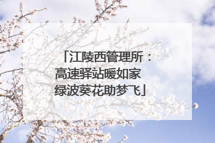 江陵西管理所：高速驿站暖如家 绿波葵花助梦飞