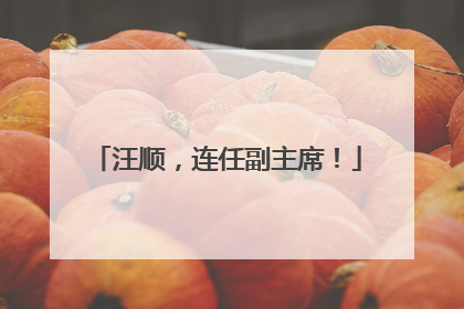 汪顺，连任副主席！