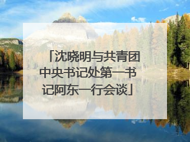 沈晓明与共青团中央书记处第一书记阿东一行会谈