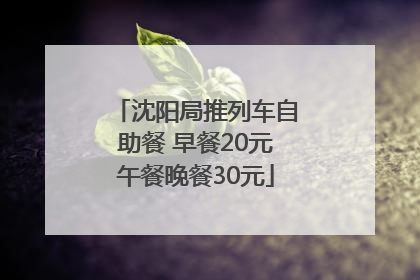 沈阳局推列车自助餐 早餐20元午餐晚餐30元