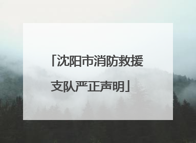 沈阳市消防救援支队严正声明