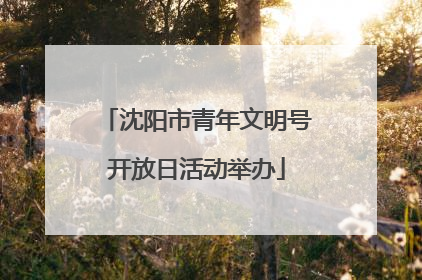 沈阳市青年文明号开放日活动举办