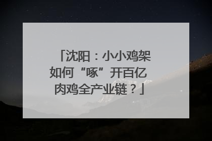 沈阳：小小鸡架如何“啄”开百亿肉鸡全产业链？