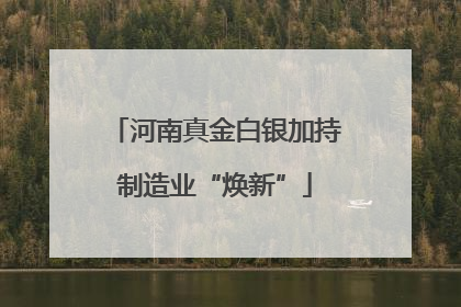河南真金白银加持制造业“焕新”