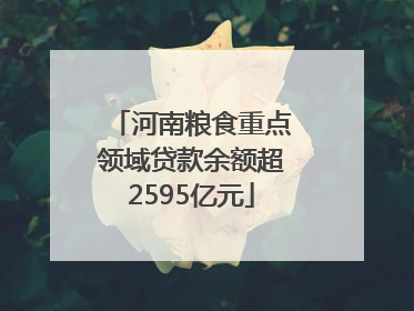 河南粮食重点领域贷款余额超2595亿元
