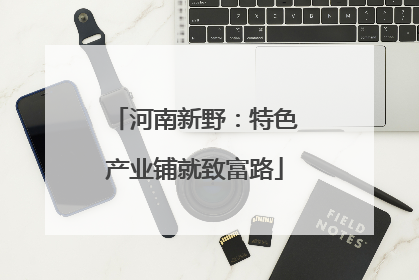 河南新野：特色产业铺就致富路