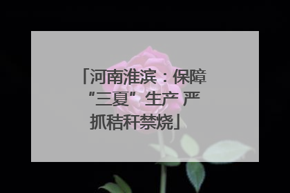 河南淮滨：保障“三夏”生产 严抓秸秆禁烧