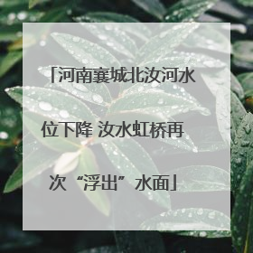 河南襄城北汝河水位下降 汝水虹桥再次“浮出”水面