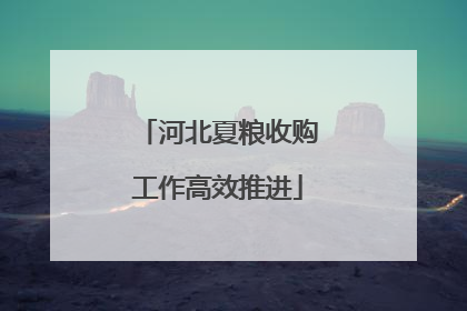 河北夏粮收购工作高效推进
