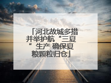 河北故城多措并举护航“三夏”生产 确保夏粮颗粒归仓