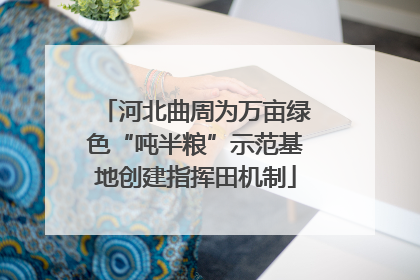 河北曲周为万亩绿色“吨半粮”示范基地创建指挥田机制