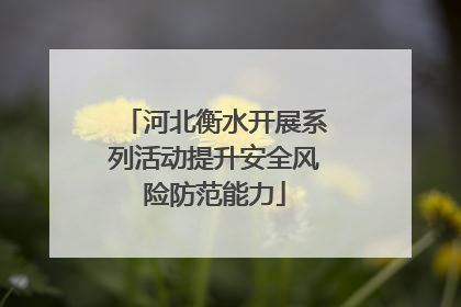 河北衡水开展系列活动提升安全风险防范能力