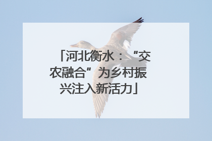 河北衡水：“交农融合”为乡村振兴注入新活力