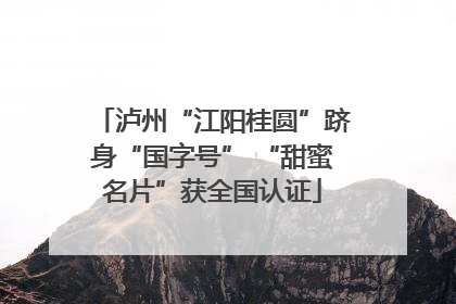 泸州“江阳桂圆”跻身“国字号” “甜蜜名片”获全国认证