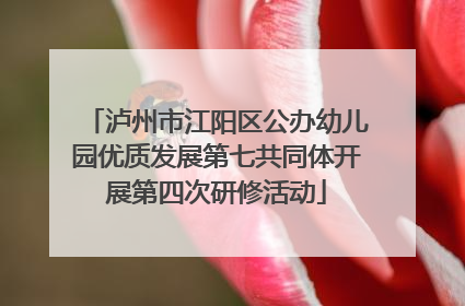 泸州市江阳区公办幼儿园优质发展第七共同体开展第四次研修活动