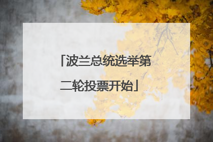 波兰总统选举第二轮投票开始