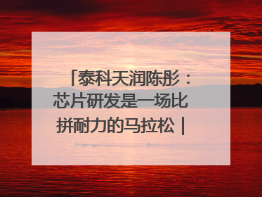 泰科天润陈彤：芯片研发是一场比拼耐力的马拉松｜湘商，向上⑤
