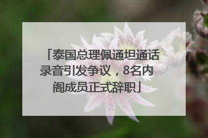 泰国总理佩通坦通话录音引发争议，8名内阁成员正式辞职