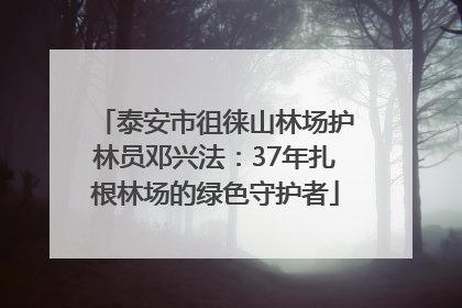 泰安市徂徕山林场护林员邓兴法：37年扎根林场的绿色守护者