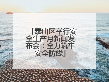 泰山区举行安全生产月新闻发布会：全力筑牢安全防线