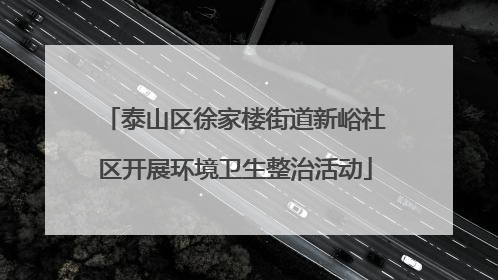 泰山区徐家楼街道新峪社区开展环境卫生整治活动