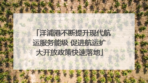 洋浦港不断提升现代航运服务能级 促进航运扩大开放政策快速落地