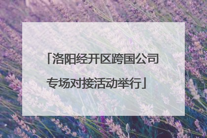 洛阳经开区跨国公司专场对接活动举行