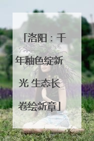 洛阳：千年釉色绽新光 生态长卷绘新章