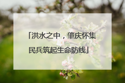 洪水之中，肇庆怀集民兵筑起生命防线