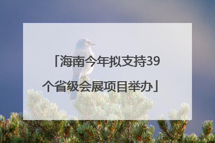 海南今年拟支持39个省级会展项目举办