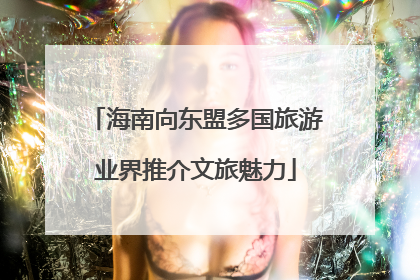 海南向东盟多国旅游业界推介文旅魅力