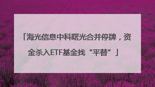 海光信息中科曙光合并停牌，资金杀入ETF基金找“平替”