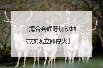 海合会呼吁加沙地带实现立即停火