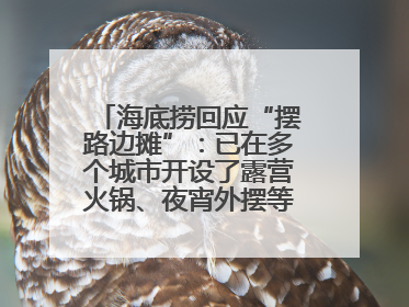 海底捞回应“摆路边摊”：已在多个城市开设了露营火锅、夜宵外摆等户外业态
