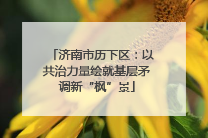 济南市历下区：以共治力量绘就基层矛调新“枫”景