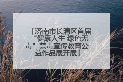 济南市长清区首届“健康人生 绿色无毒”禁毒宣传教育公益作品展开展