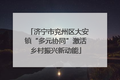 济宁市兖州区大安镇“多元协同”激活乡村振兴新动能
