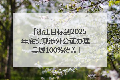 浙江目标到2025年底实现涉外公证办理县域100%覆盖