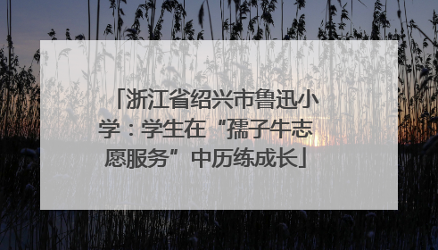 浙江省绍兴市鲁迅小学：学生在“孺子牛志愿服务”中历练成长