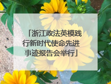 浙江政法英模践行新时代使命先进事迹报告会举行
